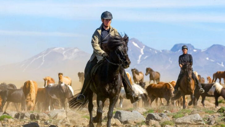 10 Horse Breeds That Excel in Trail Riding (And 10 That Struggle on Rough Terrain)