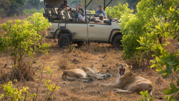 12 National Parks With More Wildlife Than Visitors (And That’s a Good Thing)