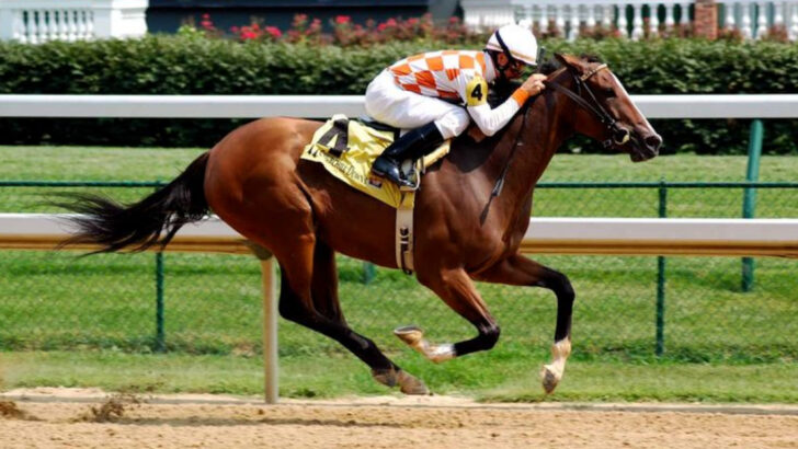 12 Reasons Thoroughbreds Dominate Races Like the Kentucky Derby