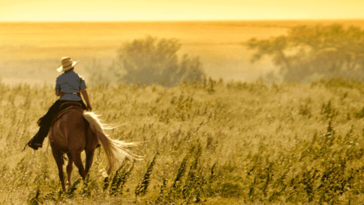 12 Ways Your Horse Remembers You From a Previous Lifetime