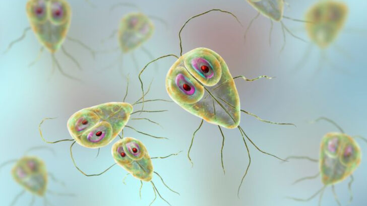 13 Deadliest Parasites That Are Spreading Through American Lakes and Rivers