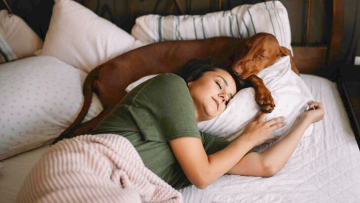 13 Things to Consider Before Letting Your Dog Sleep in Your Bed