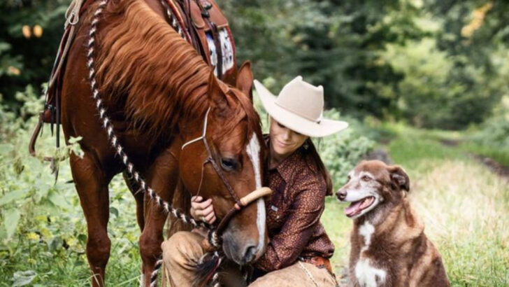 13 Ways the Horse Spirit Animal Guides You Through Life’s Journey