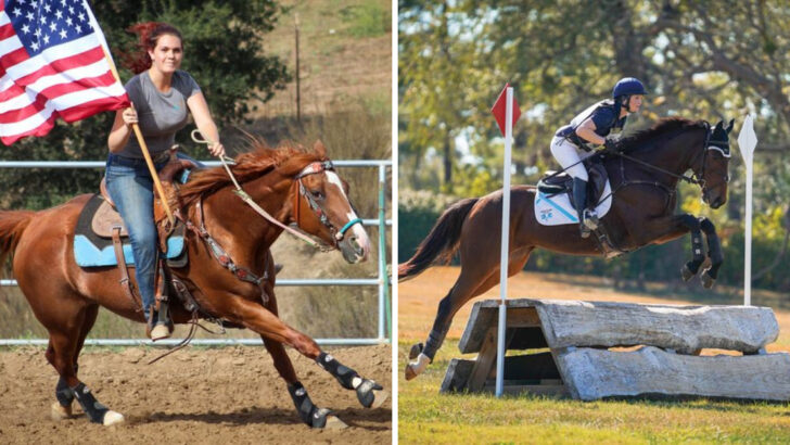 14 Key Differences Between Thoroughbreds and Quarter Horses