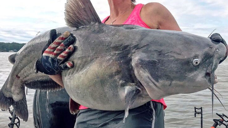 14 Under-the-Radar Locations Producing Monster Blue Catfish