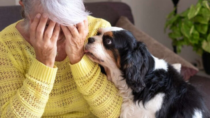 14 Ways Your Pet Shows More Loyalty Than Your Friends