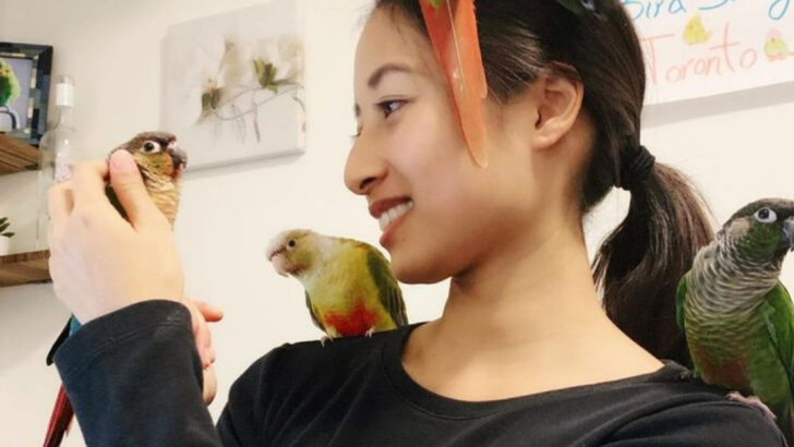 15 Common Mistakes Bird Owners Often Make
