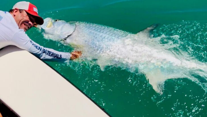 15 Places in the U.S. Where You Can Hook Tarpon All Summer Long