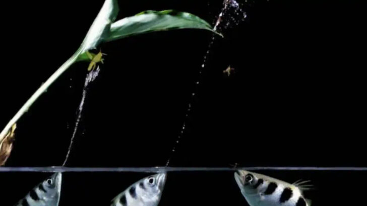 15 Wild Animal Facts That Sound Fake But Are Totally True