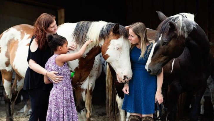 16 Fascinating Traits That Set Horses Apart from Every Other Pet