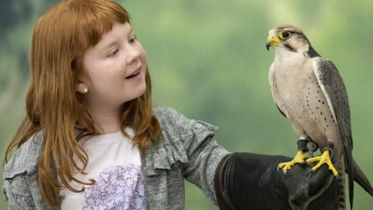 17 Bird Species That Form Unusual Bonds With Humans (And How They Show It)