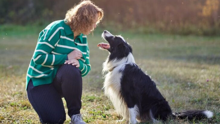 17 Dog Breeds That Behave Like They Remember You From Another Life
