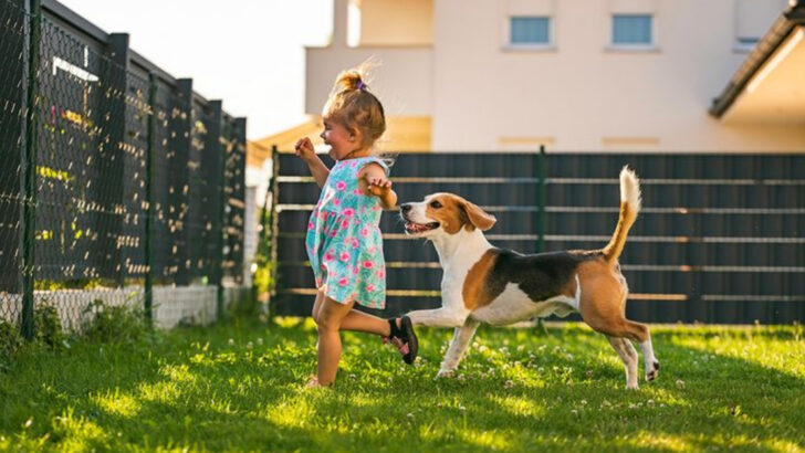 17 Dog Breeds That Form Stronger Bonds With Kids Than Their Parents