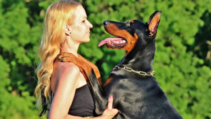 17 Dog Breeds That Understand Human Emotions Better Than We Think