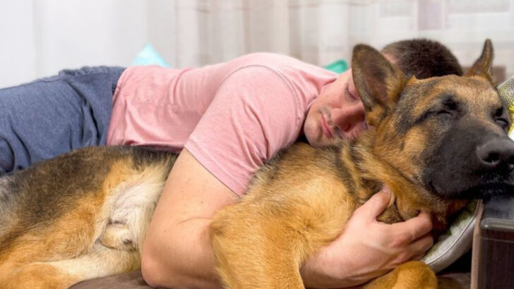 17 Dogs You’ll Never Regret Owning—Just Ask Their Owners