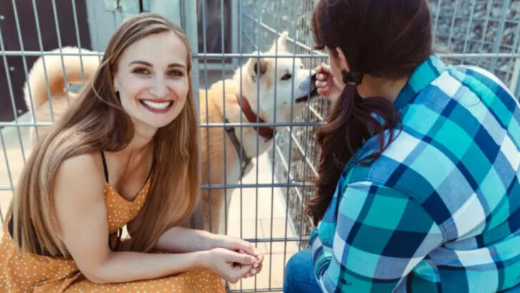 17 Tips for Fostering Dogs, Cats, and Other Pets in Need