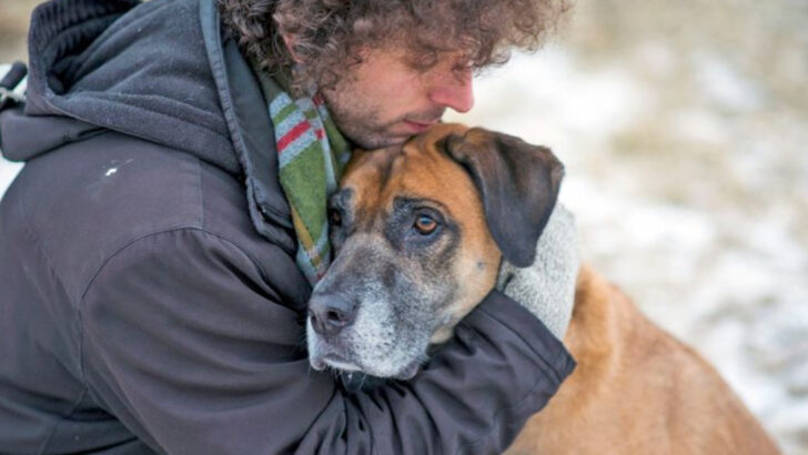 18 Behaviors That Show Your Dog Has an Old Soul (According to Animal Behaviorists)
