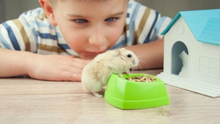 18 Best Pets to Help Teach Your Kids Responsibility