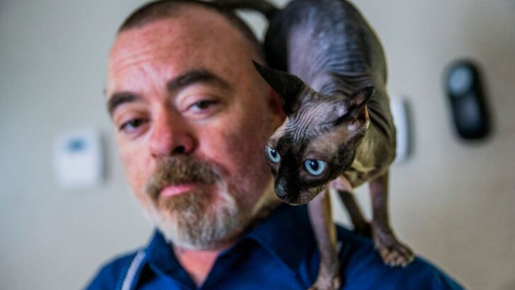 18 Cat Breeds That Act Like They’ve Met You in a Past Life