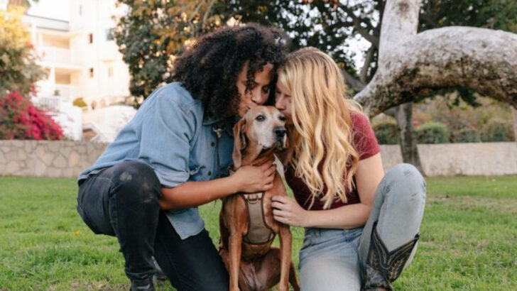 18 Emotional Bonding Activities Couples Are Trying With Their New Rescue Dogs