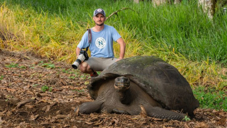 8 Slowest Animals on Land (And 8 That Could Outrun a Cyclist)