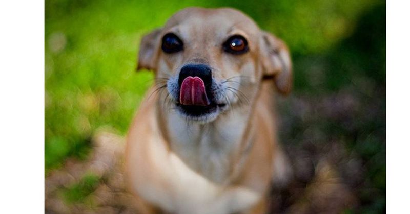 8. Lip Licking