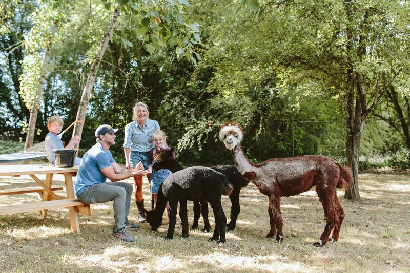 8. Social Animals