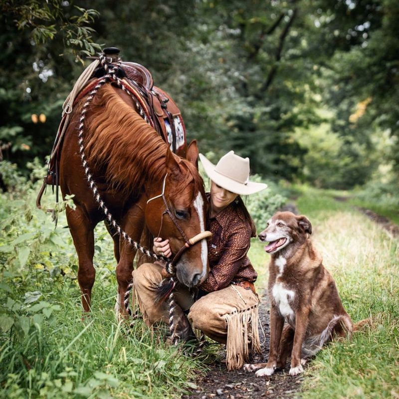 A Companion's Loyalty