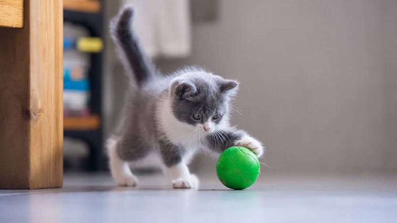 A Tale of Tail Balancing