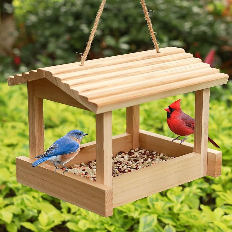 Abundant Feeders
