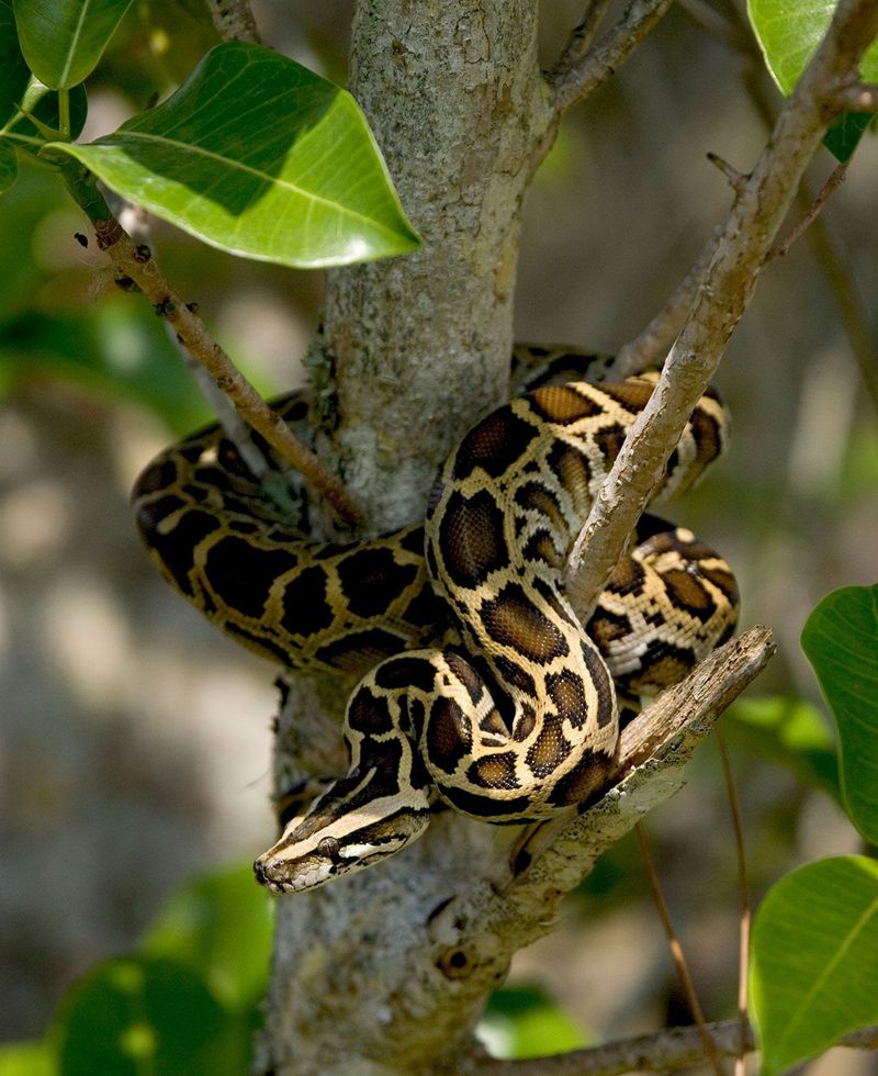 Adaptability to Environments