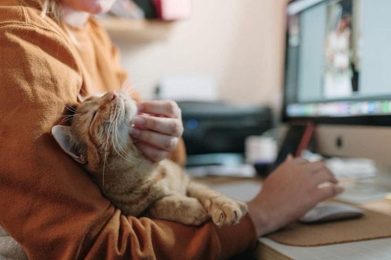 Adaptation to Human Schedules