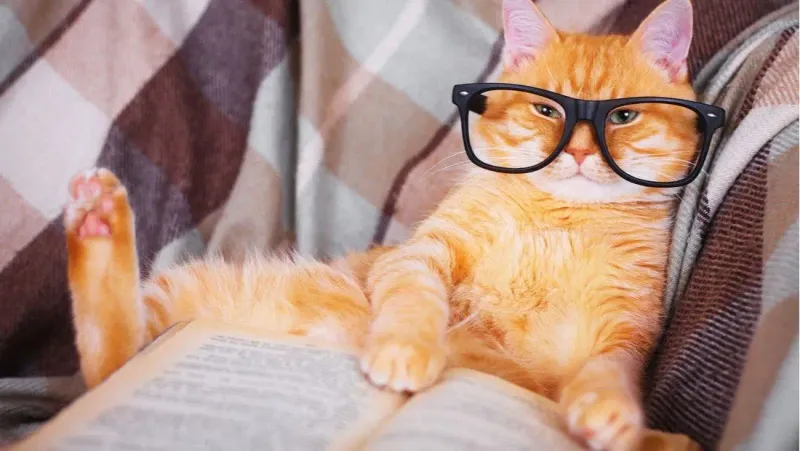 Adaptive Learning