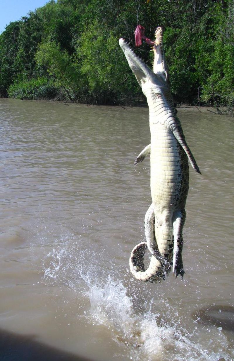 Adelaide River, Australia