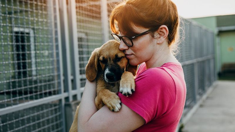 Adopt Another Pet When Ready