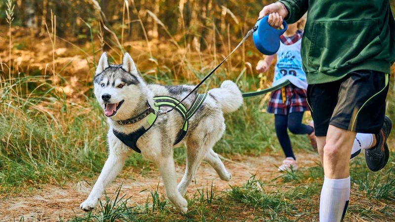 Adventurous Explorer