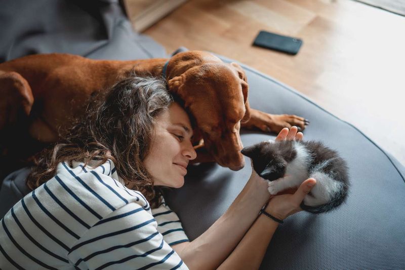 Affectionate Companions