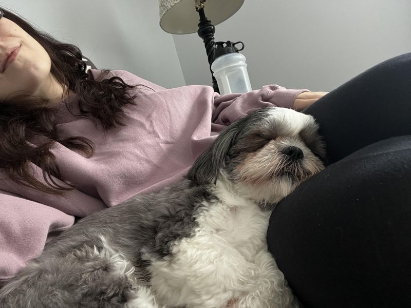 Affectionate Companions