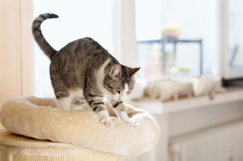 Aggressive Kneading