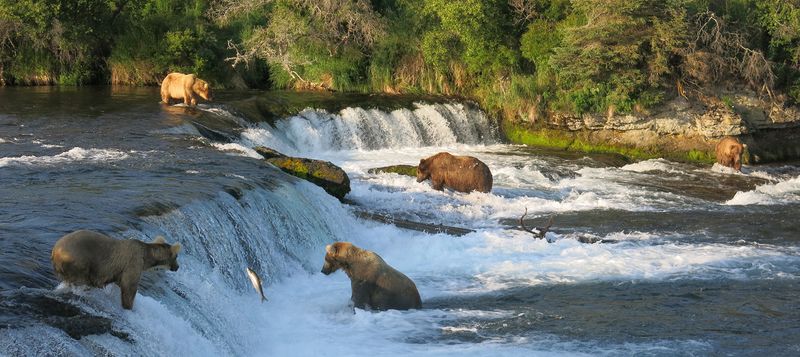 Alagnak Wild River