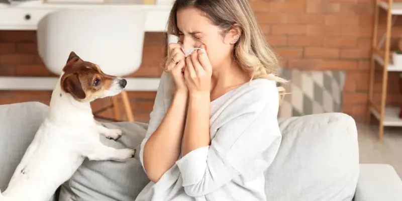 Allergens and Cleanliness