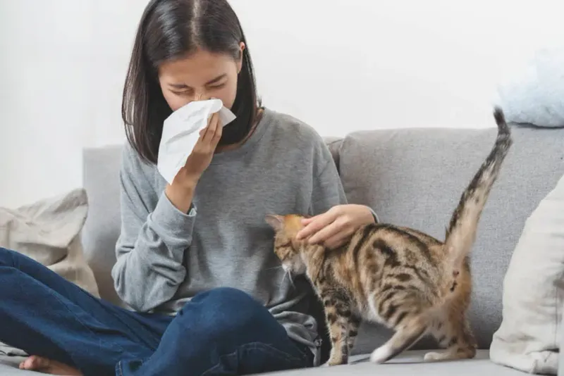 Allergy Concerns