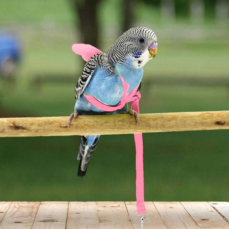 Allowing Unsupervised Outdoor Time