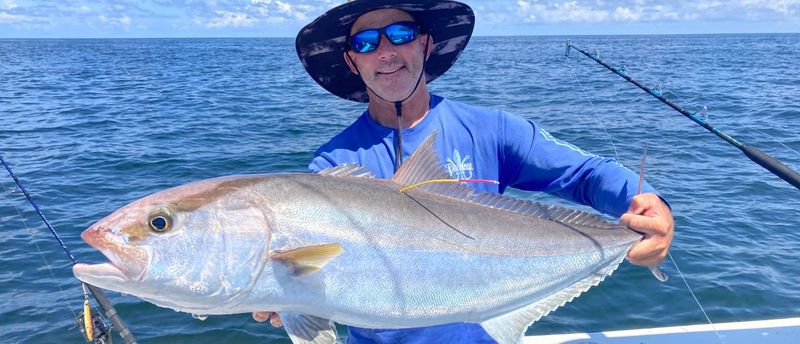 Amberjack Conservation