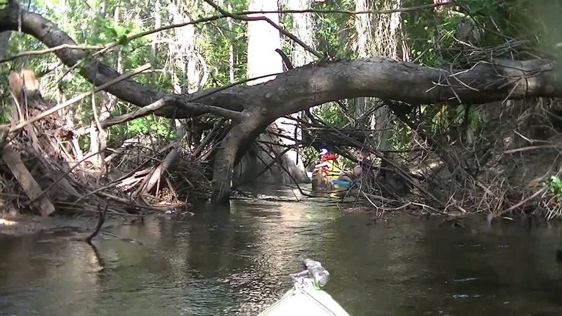 Anclote River, Florida
