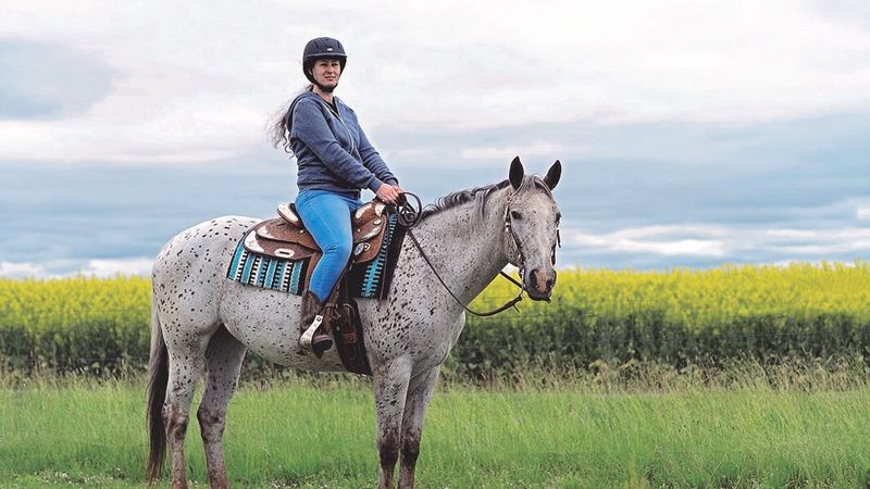 Appaloosa