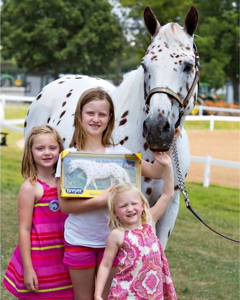 Appaloosa