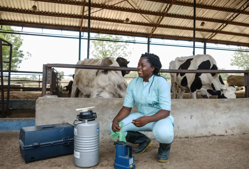 Artificial Insemination