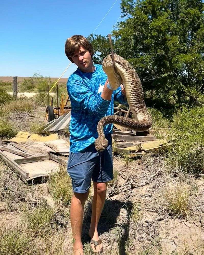Attempting to Handle the Snake