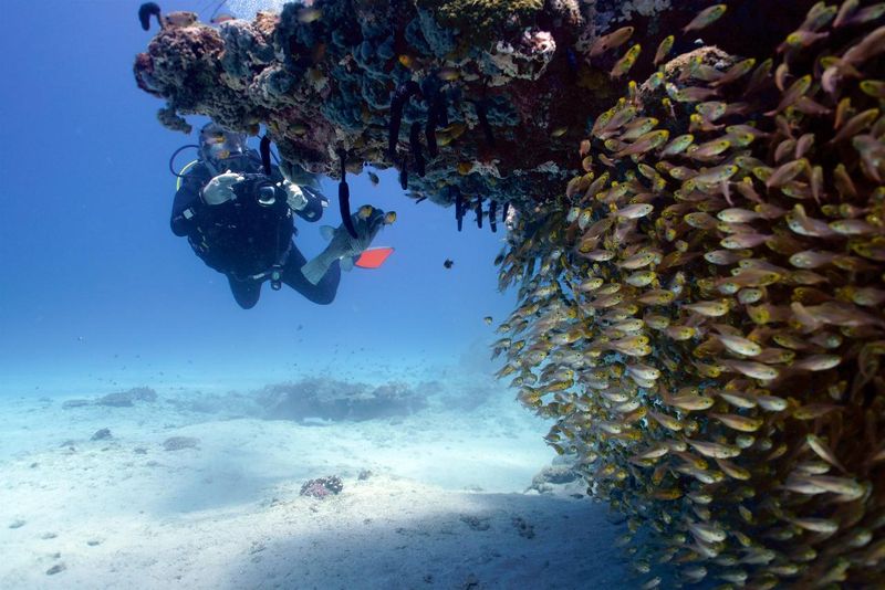 Australia, Ningaloo Reef